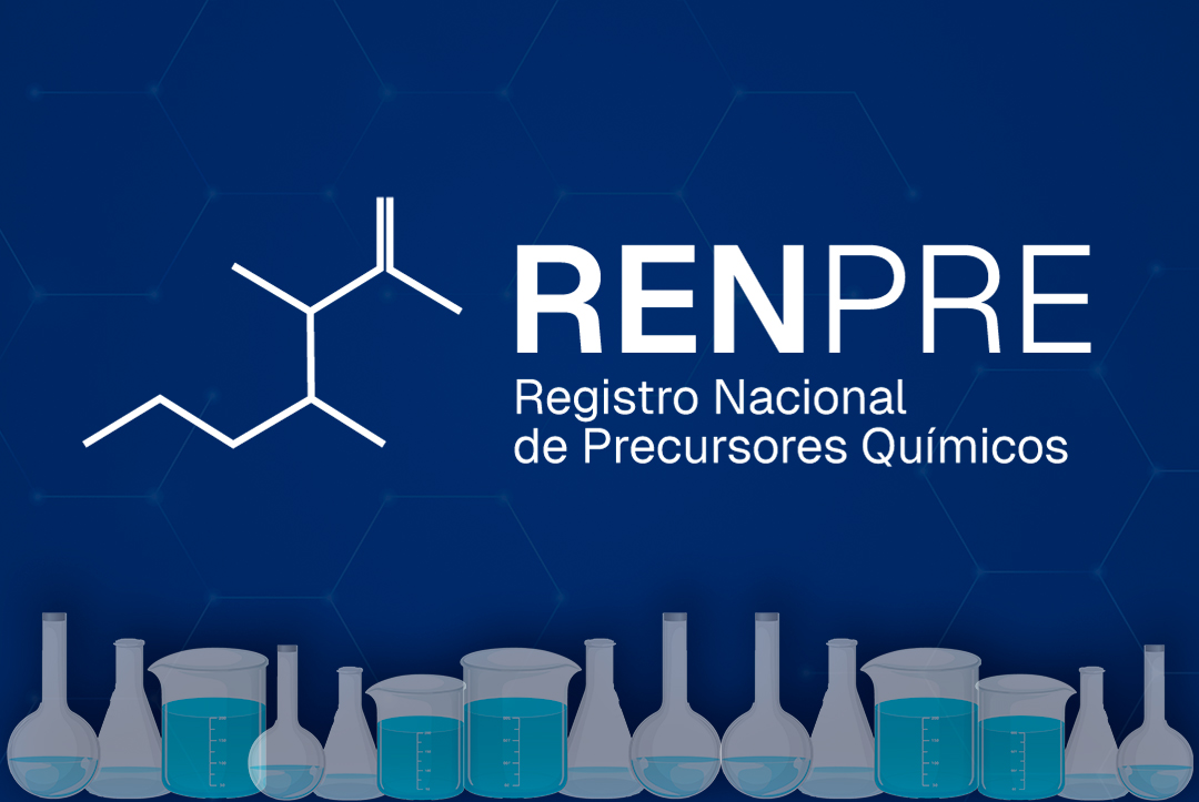 Vista previa de plataforma RENPRE